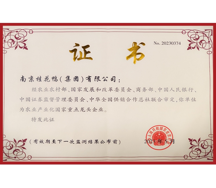龍頭企業(yè)